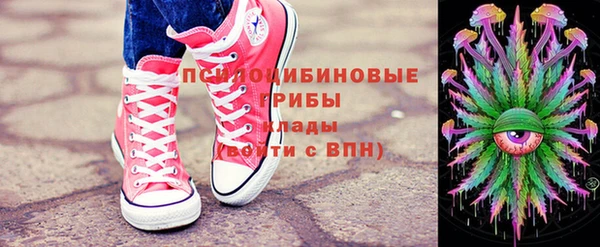 молекула духа Алексин