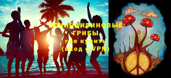 apvp Алзамай