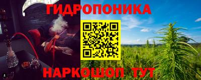 стафф Дубна