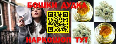стафф Дубна