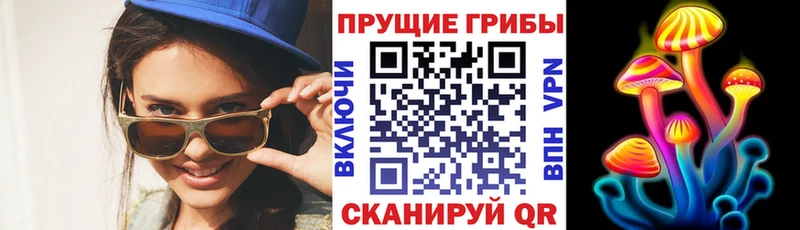 как найти   Нурлат  Галлюциногенные грибы GOLDEN TEACHER 