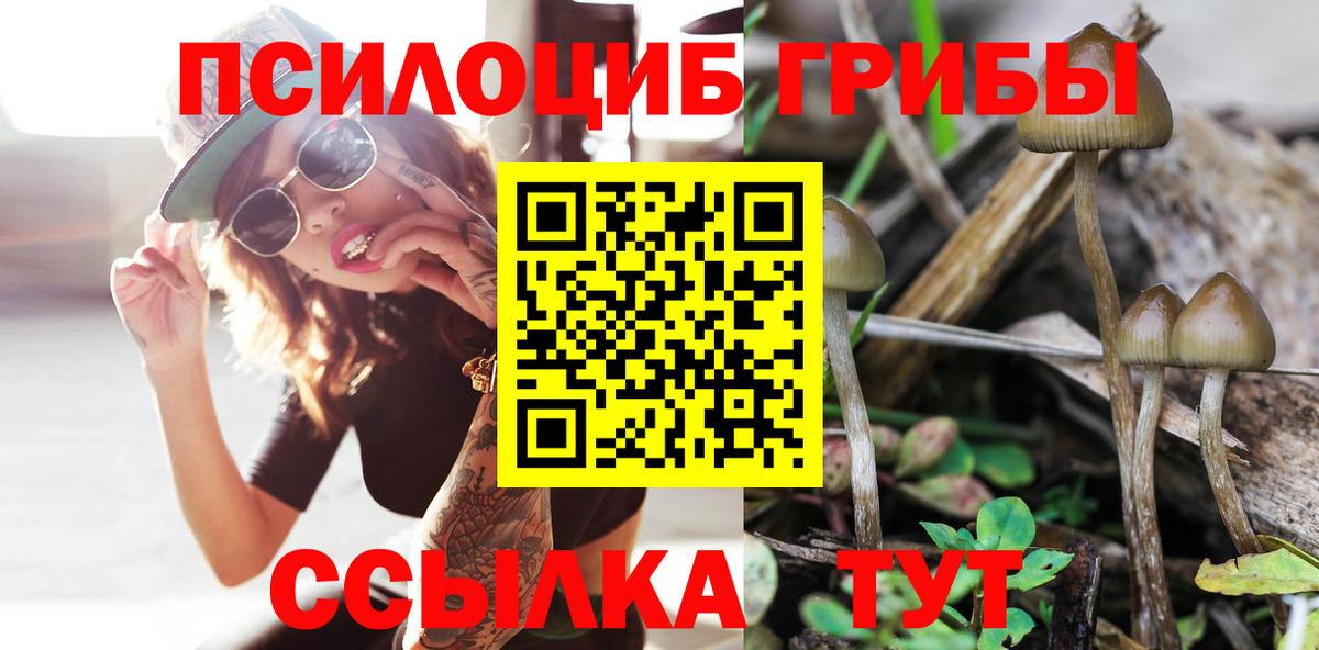 Псилоцибиновые грибы ЛСД Нурлат